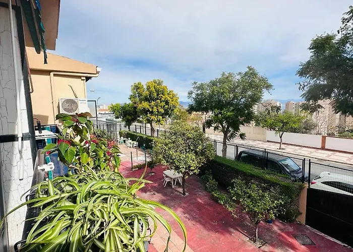 Tamara 토레몰리노스